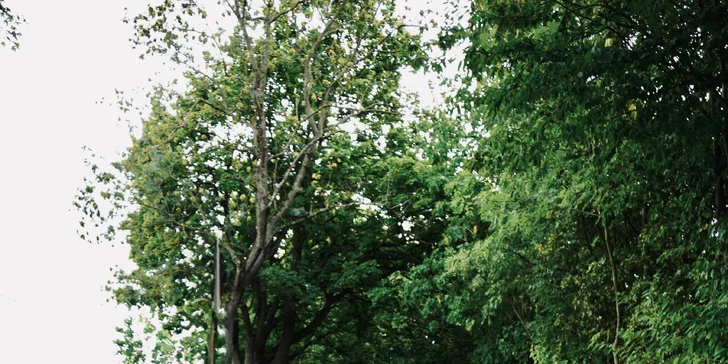 Vstříc rychlosti: pronájem vozu Mercedes Benz C63 AMG na 5–24 hodin i 3 dny