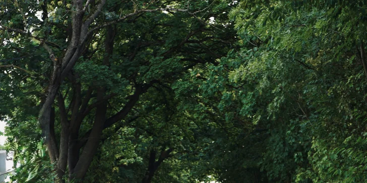 Vstříc rychlosti: pronájem vozu Mercedes Benz C63 AMG na 5–24 hodin i 3 dny