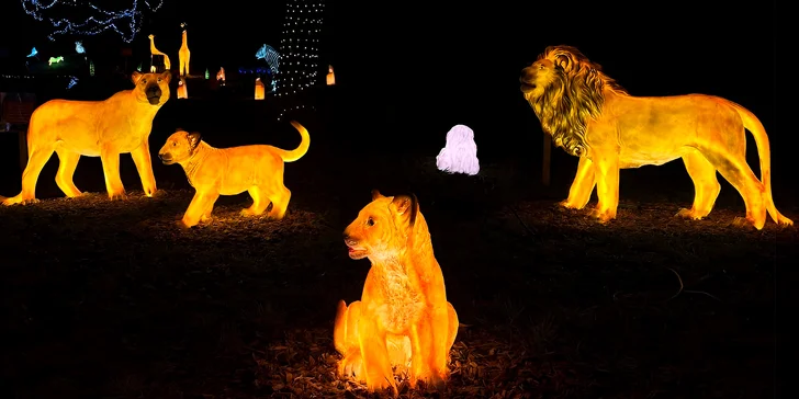 Vstupenky do Winter World: světelná pohádková zahrada, atrakce v ceně