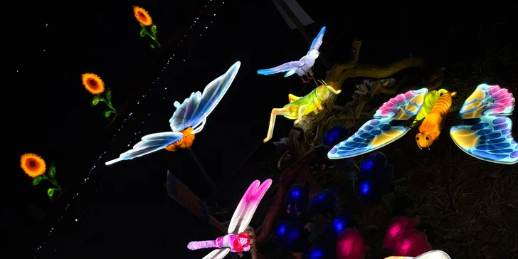 Vstupenky do Winter World: světelná pohádková zahrada, atrakce v ceně