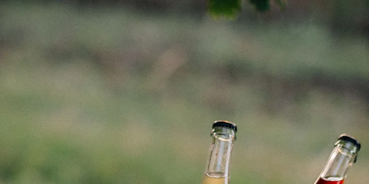 Glamping ve Velkých Pavlovicích přímo u vinice s výhledem na Pálavu