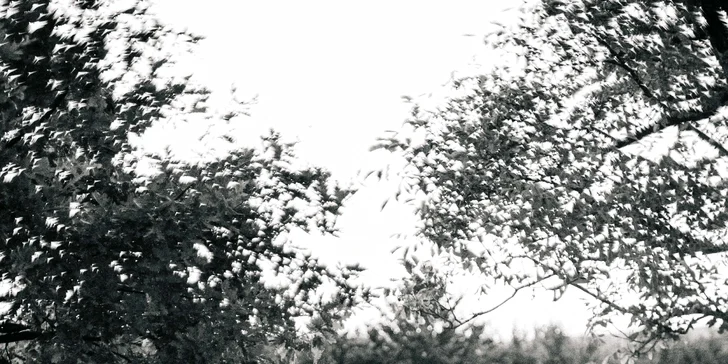 Glamping ve Velkých Pavlovicích přímo u vinice s výhledem na Pálavu