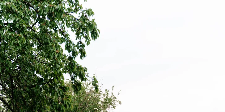 Glamping ve Velkých Pavlovicích přímo u vinice s výhledem na Pálavu