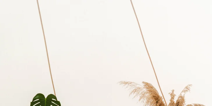 Glamping ve Velkých Pavlovicích přímo u vinice s výhledem na Pálavu