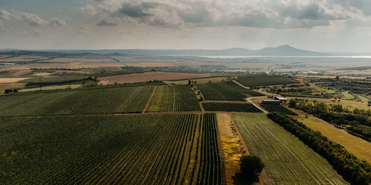 Glamping ve Velkých Pavlovicích přímo u vinice s výhledem na Pálavu