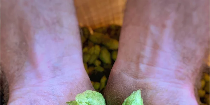 Na den sládkem v minipivovaru: vč. degustace a oběda, pro 1 či 2 os.