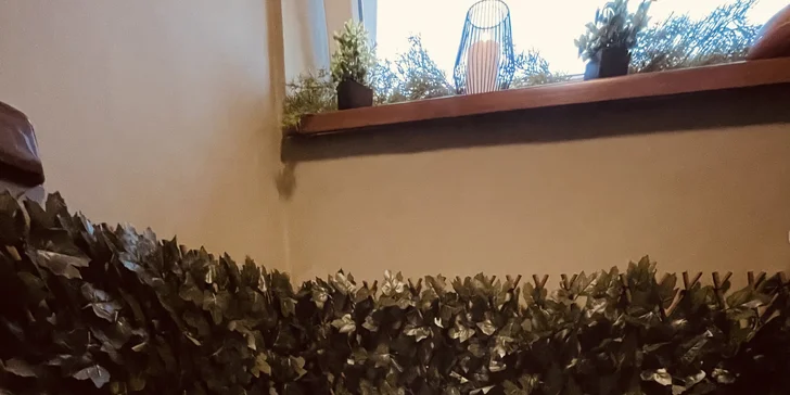 90min. thajské masáže v Českém ráji: záda a šíje či celé tělo, s olejem i bez