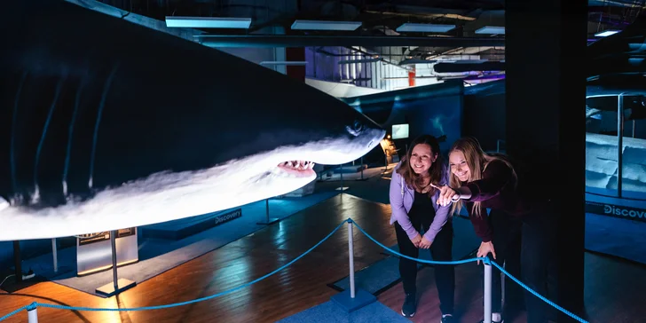 Vstupy na výstavu Obři oceánů v OC Westfield na Černém Mostě