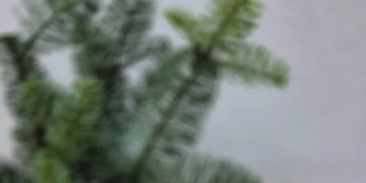 Workshop Voňavé tvoření: výroba koupelové soli, peelingu nebo třeba parfému