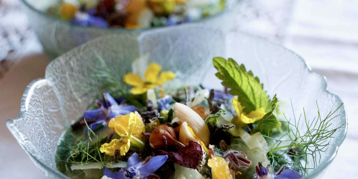 Workshop rostlinné kuchyně v kuchařské škole Presto: teorie i ochutnávky dezertů a omáček