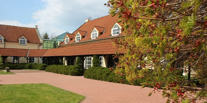 Bechnerův statek: ubytování v srdci Lán s bohatou snídaní