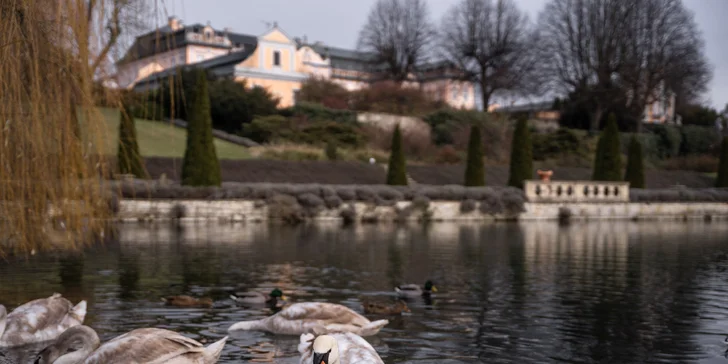 Romantický pobyt ve vybaveném tiny house na východu Čech s koupacím sudem