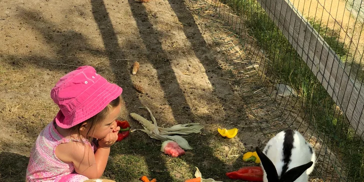 Zvířata na dosah ruky: VIP vstup na Statek u Merlina vč. vstupenky do zooparku pro všechny