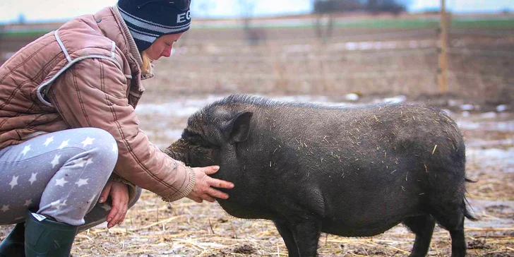 Zvířata na dosah ruky: VIP vstup na Statek u Merlina vč. vstupenky do zooparku pro všechny