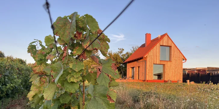 Moravské Toskánsko: domek s terasou mezi vinicemi, krásné výhledy i víno k dispozici
