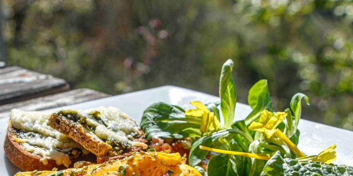 Workshop rostlinné kuchyně v kuchařské škole Presto: teorie i ochutnávky dezertů a omáček