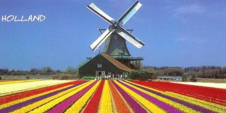 1494 Kč za víkendový zájezd do Holandska. Ráj květin a tulipánů Keukenhof, prohlídka Amsterdamu s průvodcem i skanzen s větrnými mlýny. 