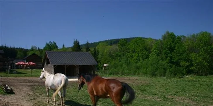 Odpočinková i lyžařská dovolená v Jeseníku