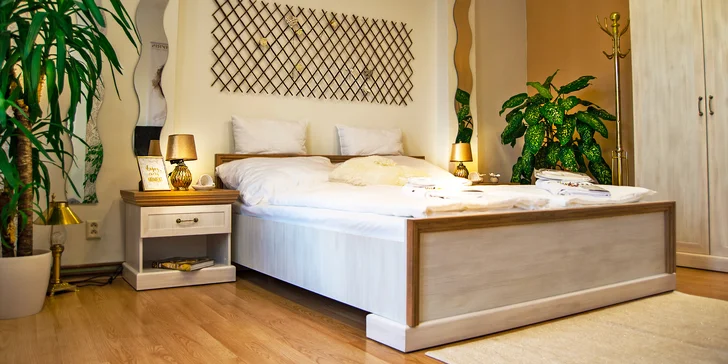 Pohoda a relax v Děčíně: podkrovní apartmány nedaleko zámku, možnost tělového rituálu