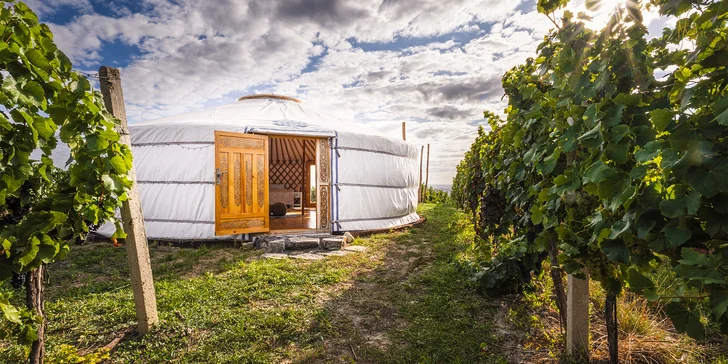 Pobyt na jižní Moravě: vybavené jurty uprostřed vinice s terasou a ohništěm