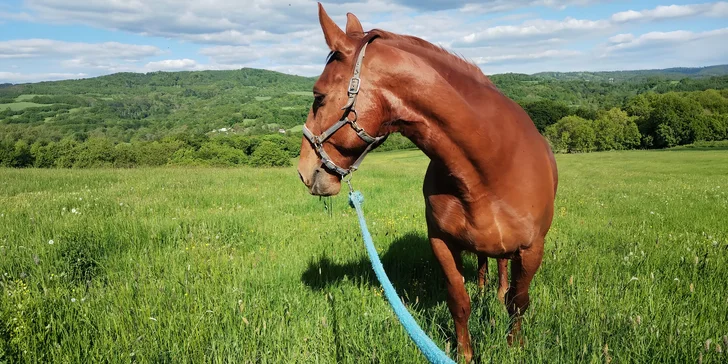 Zážitková procházka s koněm přírodou chráněné oblasti: varianty pro děti i dospělé