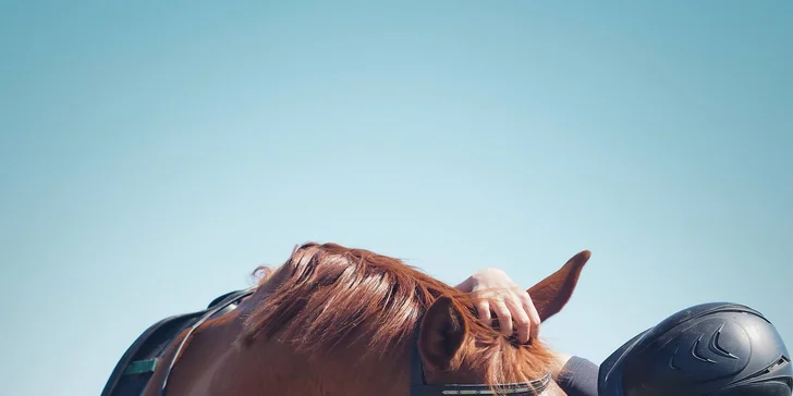 Vzdelávacie centrum EquiRelax