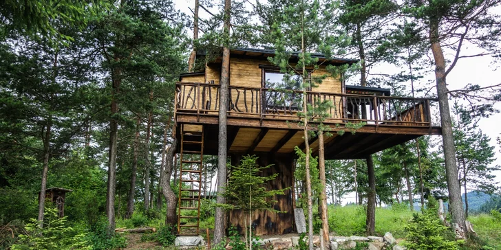 Domček v korunách borovíc