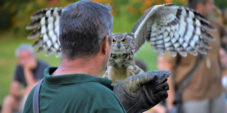 Staňte sa sokoliarom a prežijete nezabudnuteľný deň na Sokoliarskom dvore Kanát