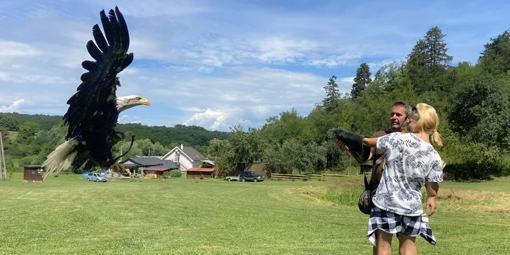 Staňte sa sokoliarom a prežijete nezabudnuteľný deň na Sokoliarskom dvore Kanát