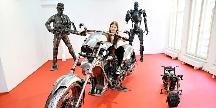 GALERIE OCELOVÝCH FIGURÍN