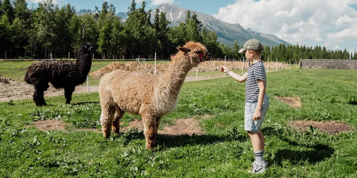 Deň plný zábavy v Tatrách: Zverofarma, Megaihrisko a ďalšie atrakcie