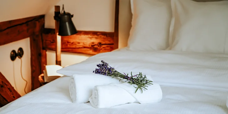 Pobyt v domě Hany Hegerové s degustací jejích oblíbených pokrmů, vstupem do Thermal Nesvady či zážitkovým vařením