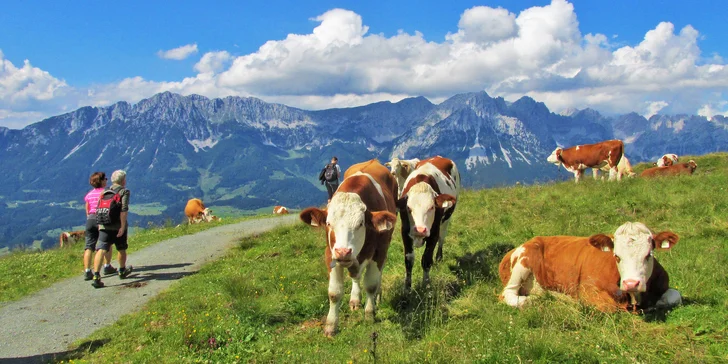Na vrcholky hor vždy vyjedete lanovkou, čeká vás jen lehčí turistika. 
