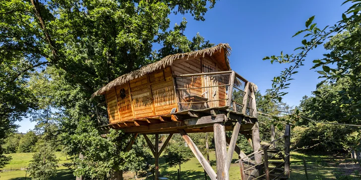 Pobyt v domku na stromě: úžasná romantika pro dva i nevšední zážitek pro děti