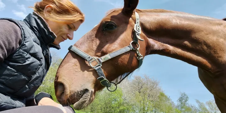 Osobní rozvoj s péčí o koně: antistresová procházka i leadership