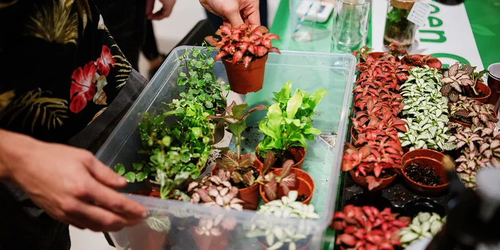 Relaxační workshop: vytvořte si vlastní Mechárium aneb kousek přírody u vás doma