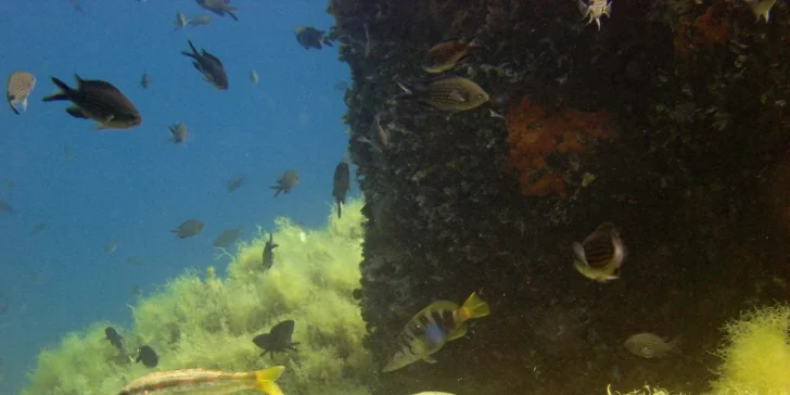 Prodloužený aktivní víkend s potápěním v Chorvatsku pro úplné začátečníky