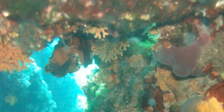 Prodloužený aktivní víkend s potápěním v Chorvatsku pro úplné začátečníky