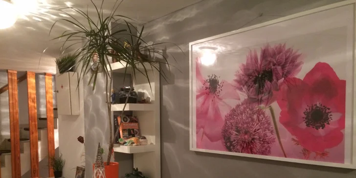 Samotná recepce působí velice příjemným dojmem.