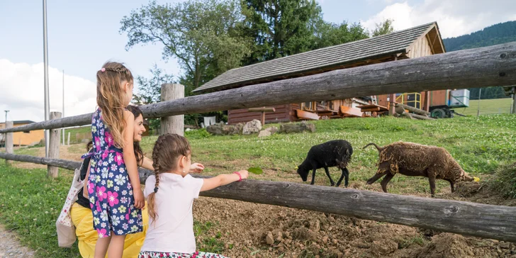 Na lúkach oproti Penziónu sa nachádza moderný salaš a minizoos množstvom tradičných zvierat, ktoré boli kedysi súčasťou salašou.