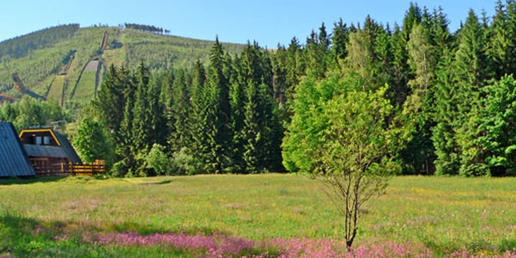 Třídenní pobyt pro celou rodinu v resortu Resident Harrachov. V nabídce i 4denní varianta. Panenská příroda Krkonoš a bohatý wellness program!