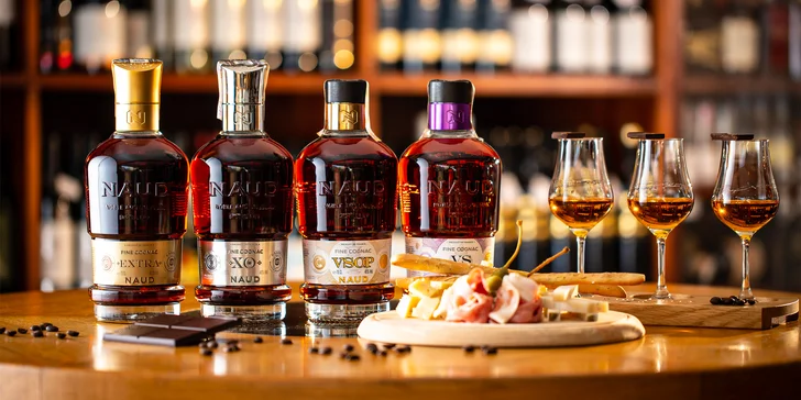 WINE EXPERT: Exkluzívna degustácia Whiskey, Cognacov, Brandy so someliérom
