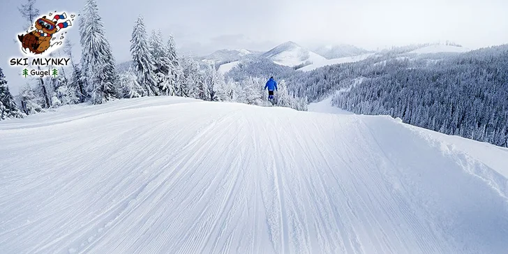 Celodenný skipas do lyžiarskeho strediska SKI MLYNKY GUGEL