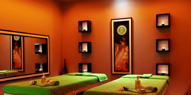 Za poplatek lze využít služby wellness centra.
