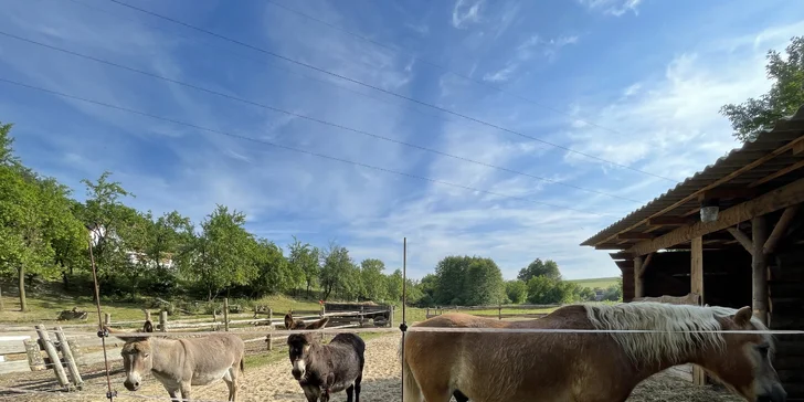 Minizoo pro milovníky zvířat