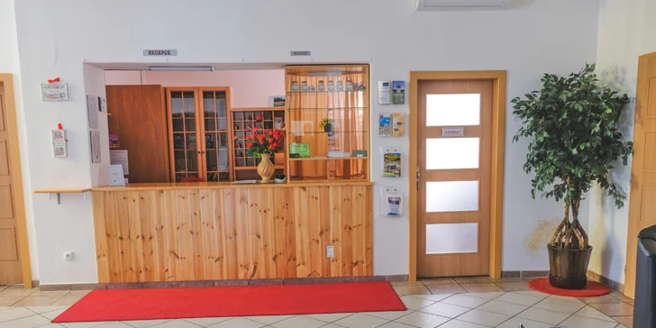 Za příplatek můžete přijet i s domácími mazlíčky. 