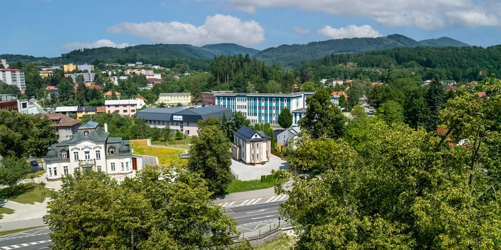 Apartmány sú hneď vedľa mestského parku a kúsok od skanzenu.