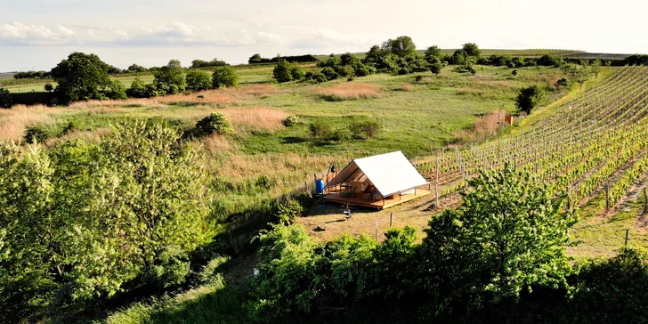 Glamping na Slovácku: ubytování až pro 4 os. ve stanu na kopečku u vinohradu, balíček s moravským vínem