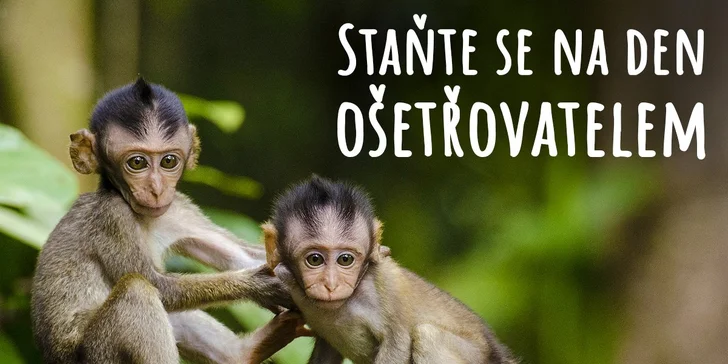 Vybrat si můžete variantu, ve které si na 5 hod. vyzkoušíte práci ošetřovatele zoo.