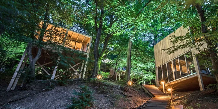 TreeHouses Noszvaj jsou první svého druhu v Maďarsku a budete to z nich mít jen kousek k Národnímu parku Bukové hory i do historického Egeru.
